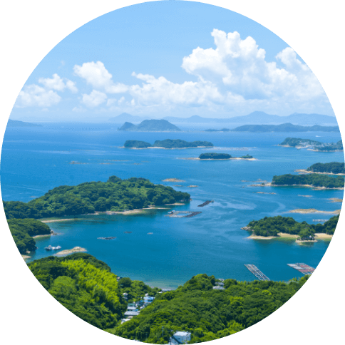 海